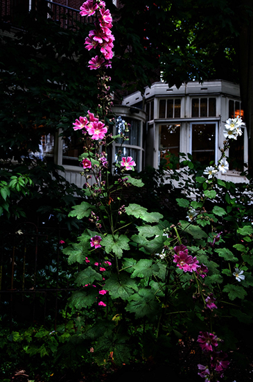 %_tempFileName2009-07-15-15RTo2%