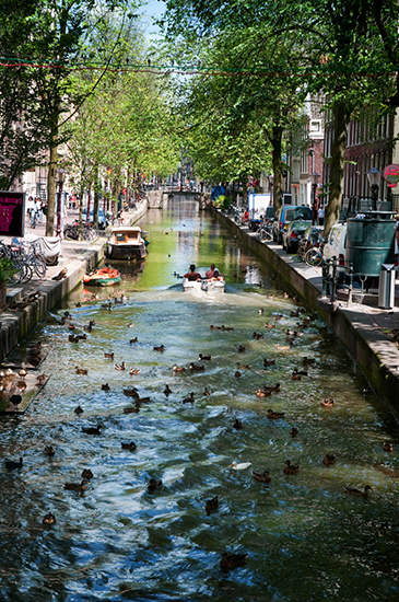 %_tempFileName2009-07-16-251RLTo%