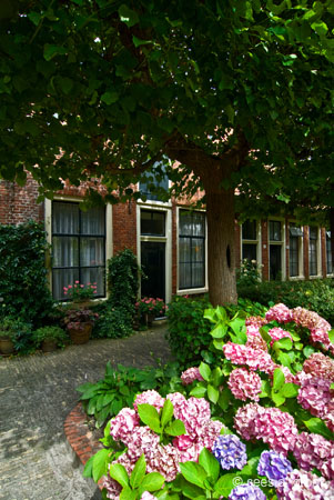 2007-07-21 026ARUVSeKHC