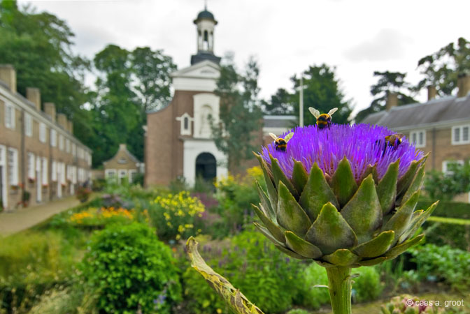 2007-07-13 079ARUpGSa