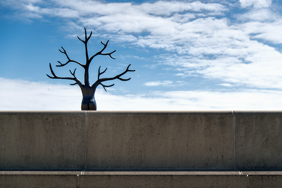 %_tempFileName2013-08-10-84RUViSeK%