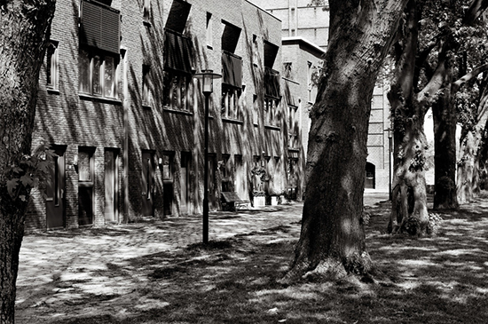 %_tempFileName2009-05-23-88RToSePTV%