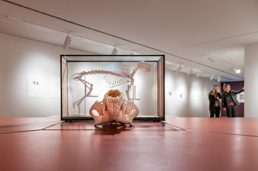 %_tempFileName2012-11-13-132RUViV%