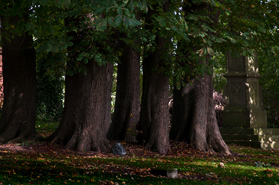 %_tempFileName2010-09-16-182RViV%