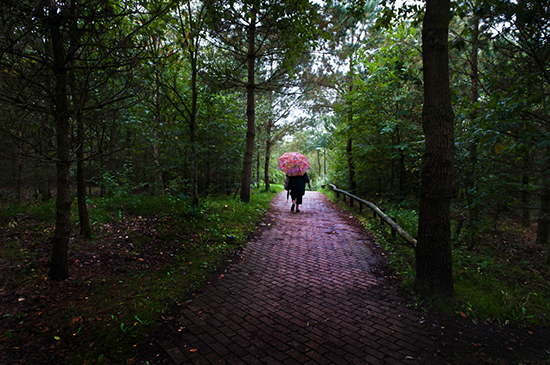 %_tempFileName2010-09-20-273RVi%