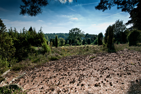 %_tempFileName2010-09-23-556RVi%