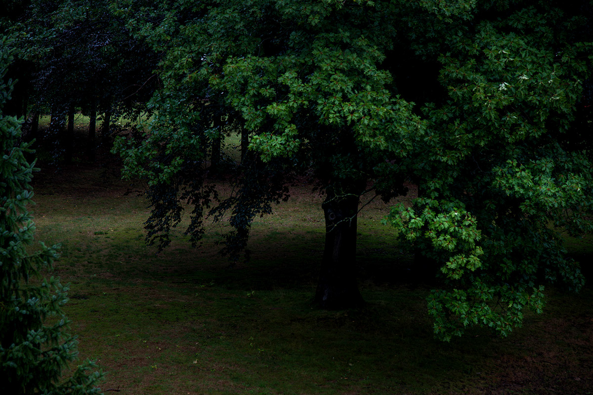 %_tempFileName2013-09-10-118RVgLsek%