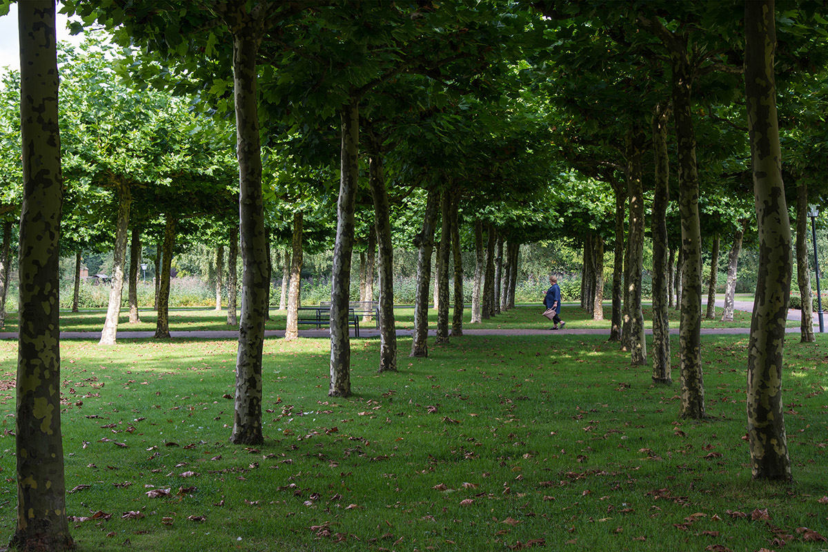 %_tempFileName2013-09-12-336RUVg%