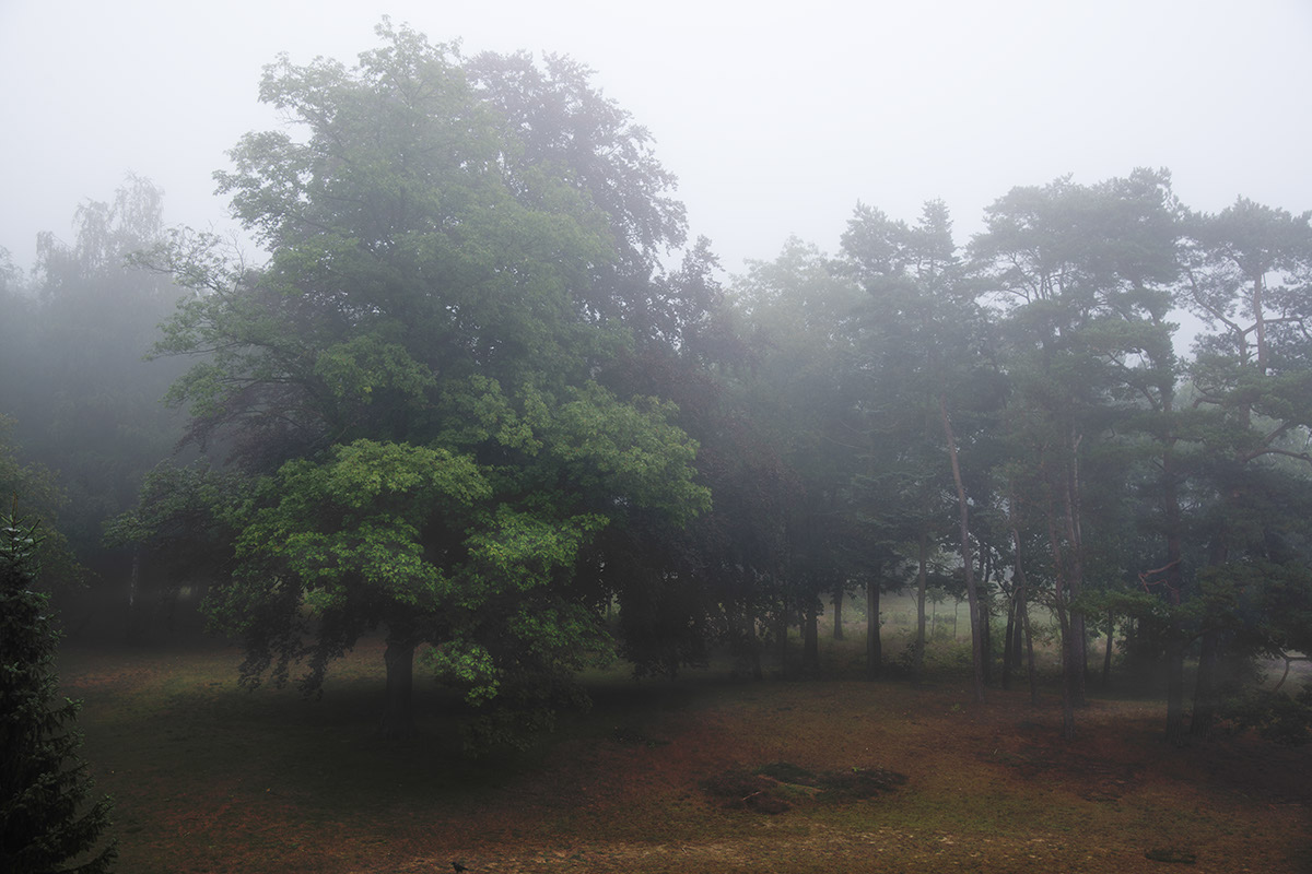 %_tempFileName2013-09-13-361RVgVerlD%