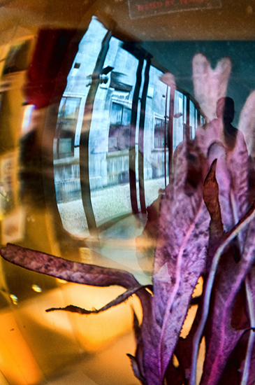 %_tempFileName2010-05-06-140RViT%