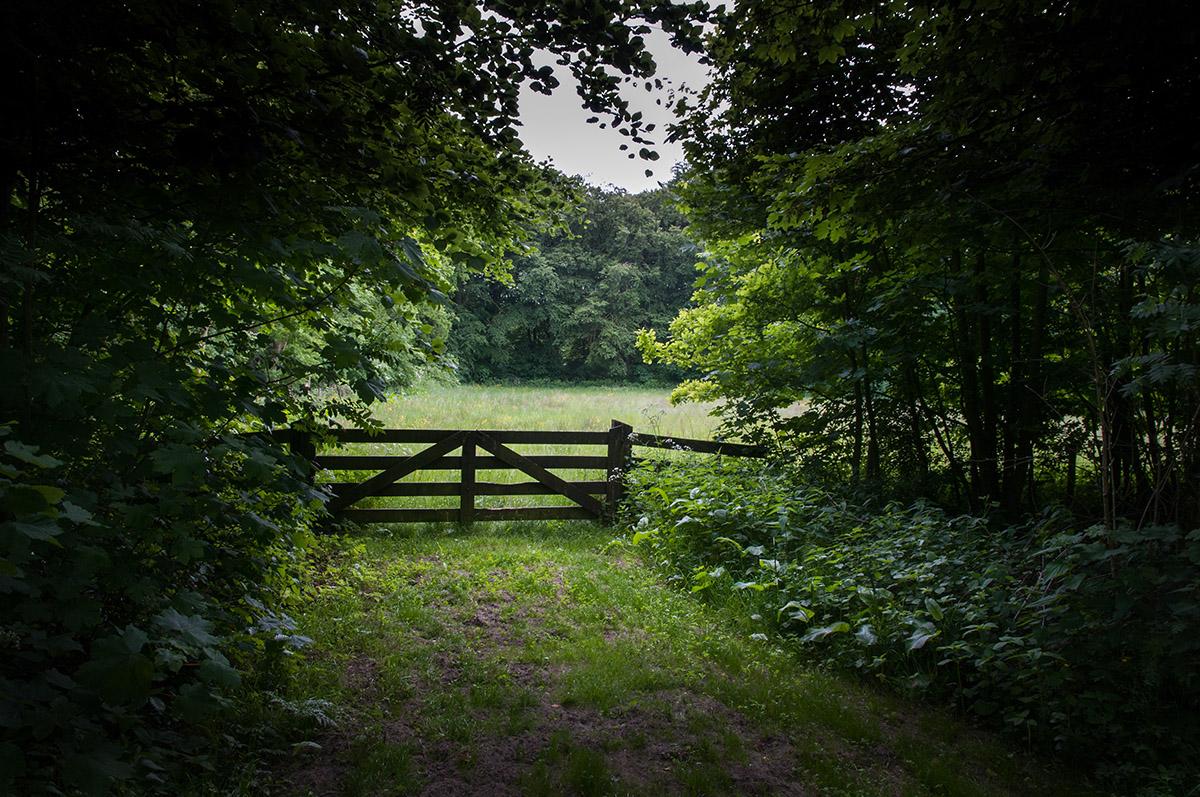 %_tempFileName2013-06-10-129RVg%