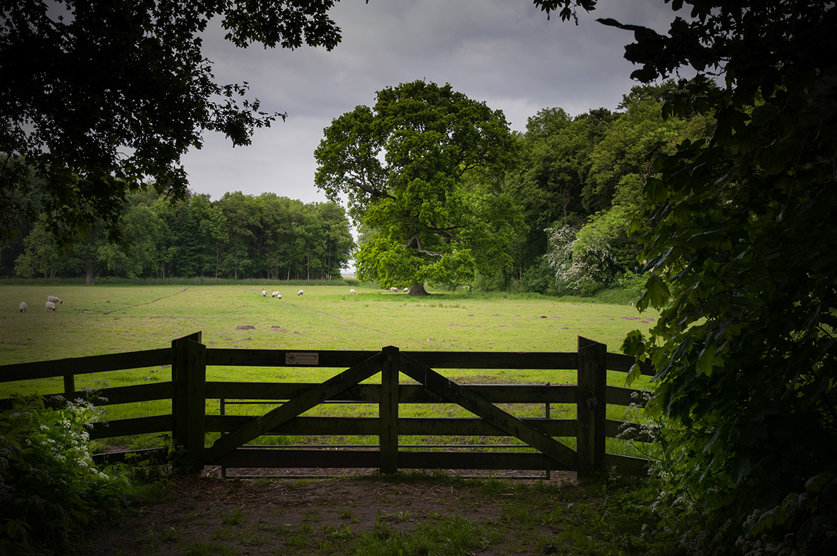 %_tempFileName2013-06-10-130RViPtVg%