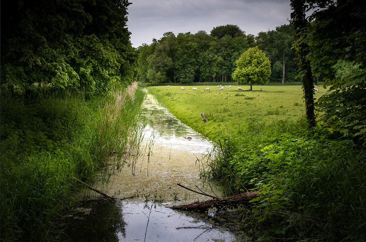 %_tempFileName2013-06-10-131RViPtVg%