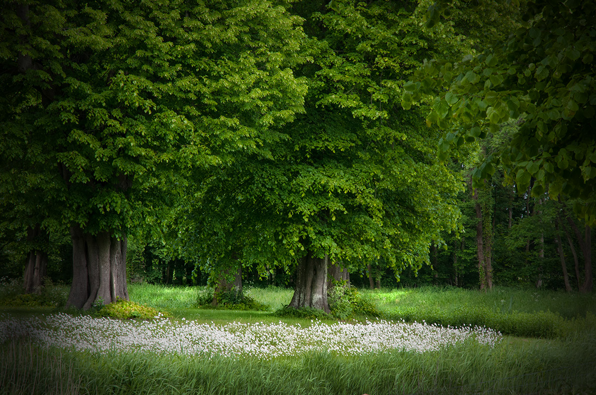 %_tempFileName2013-06-10-136RPtViVg%