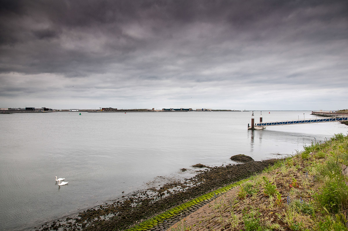 %_tempFileName2013-06-10-20RViVselVsel%