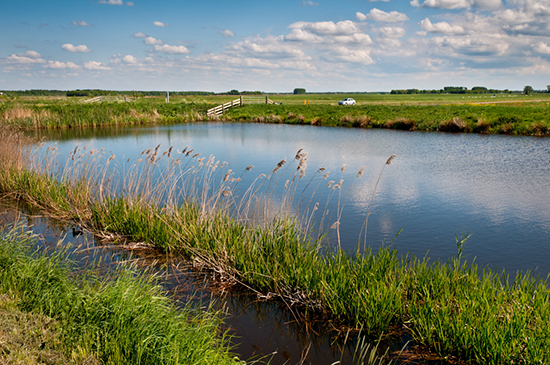 %_tempFileName2011-05-04-80RViV%