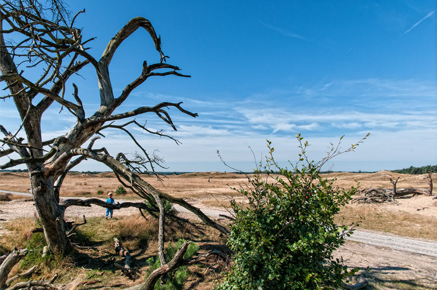 %_tempFileName2012-08-12-06RUViCePV%