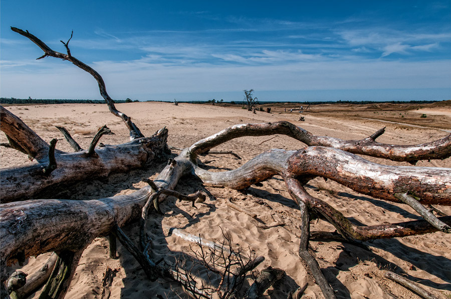 %_tempFileName2012-08-12-15RViVCeP%