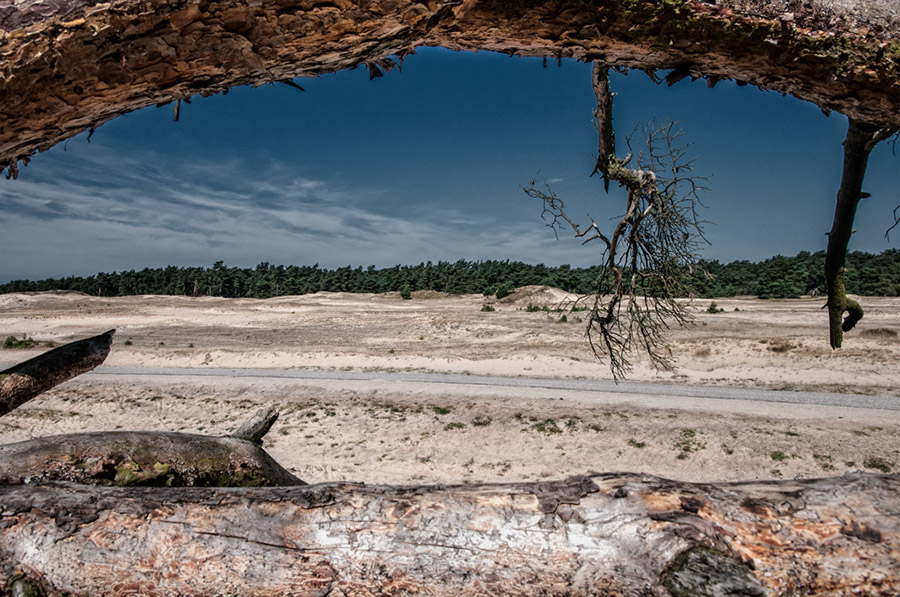 %_tempFileName2012-08-12-18RViVCePbw%