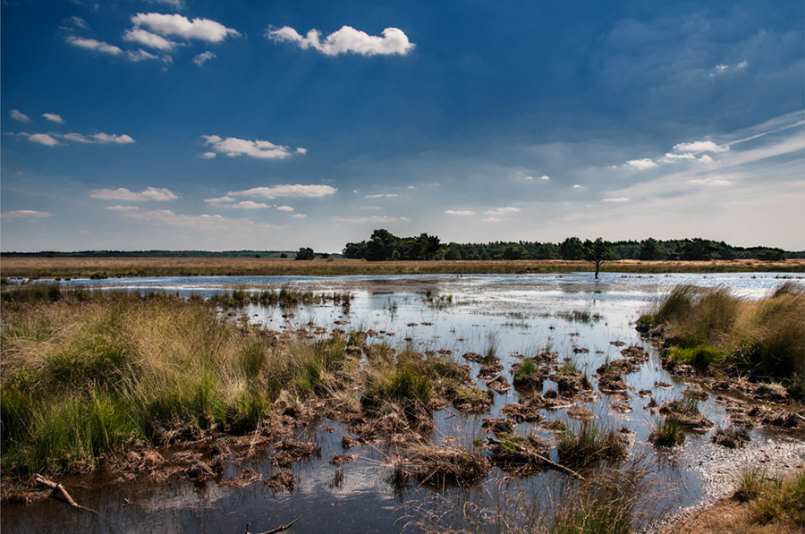 %_tempFileName2012-08-12-23RUSVVi%