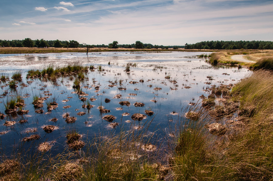 %_tempFileName2012-08-12-26RViCeP%