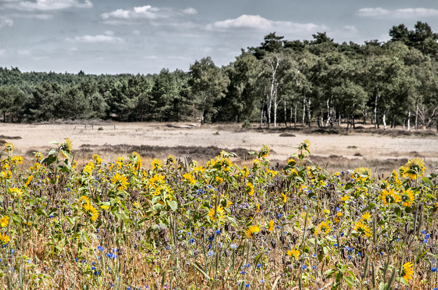 %_tempFileName2012-08-12-33RUViVzw-k%