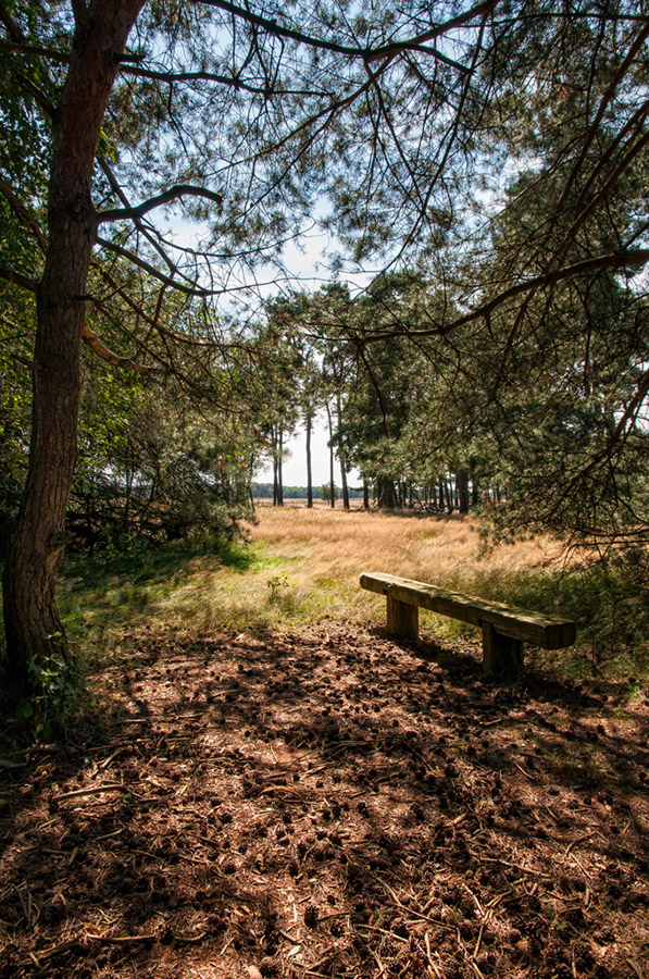 %_tempFileName2012-08-12-36RUViCePV%