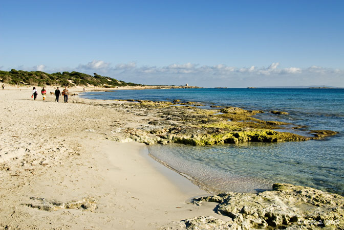 2008-02-21 007ARSeNSeKSeKKS