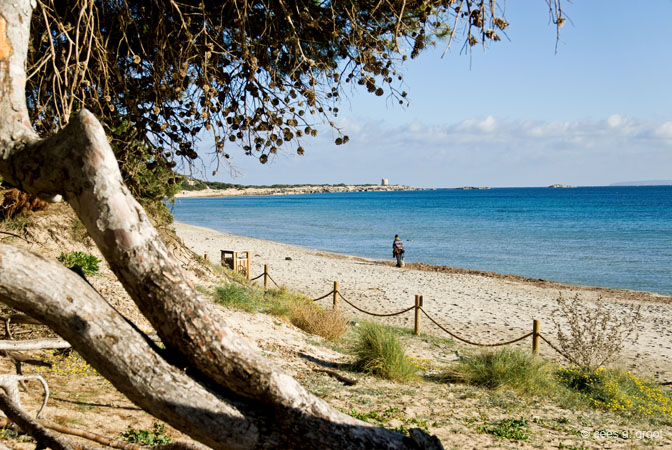 2008-02-21 009ARVSeKK