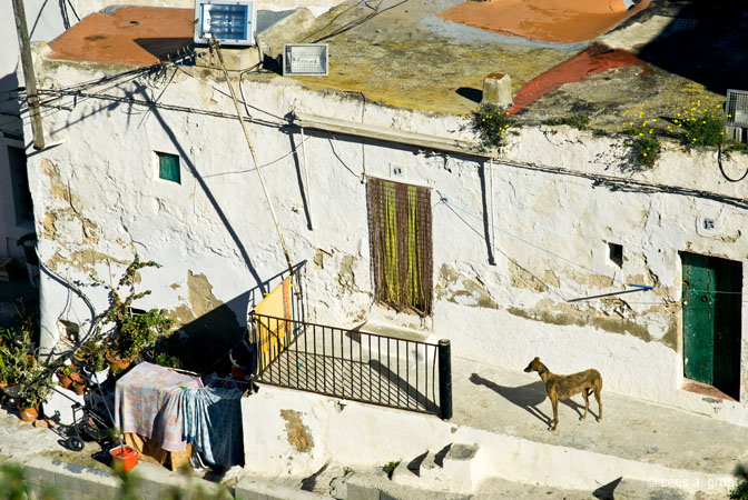 2008-02-22 033ARNSeKSaC