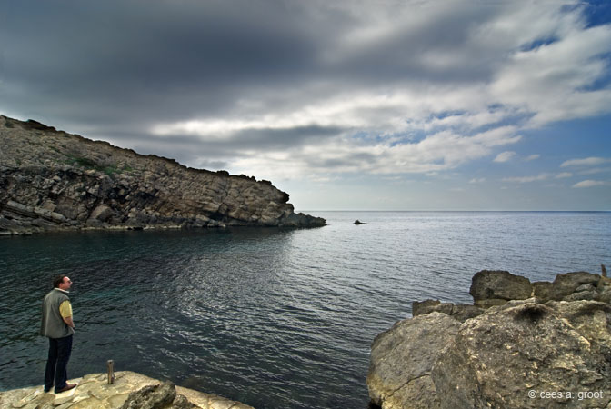 2008-02-22 071ARLLD3