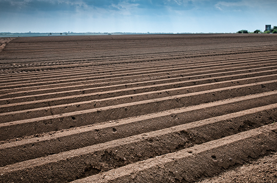 %_tempFileName2010-05-15-150RViT%