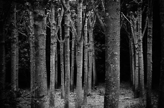 %_tempFileName2010-05-15-67RUhUSeP%