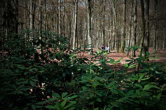 %_tempFileName2011-04-10-50RViVV%