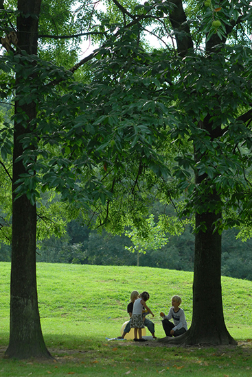 %_tempFileName2006-09-24%20073K%