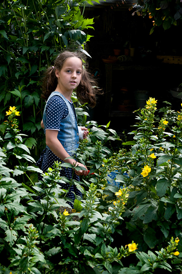 %_tempFileName2011-07-17-64RUV%