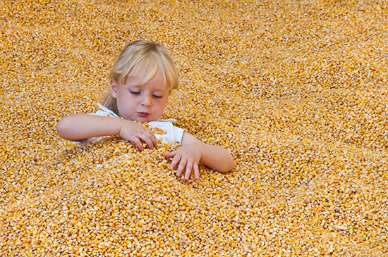 %_tempFileName2010-07-24-80RUV%