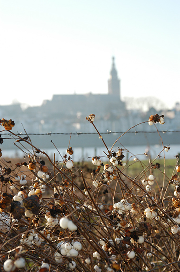 %_tempFileName2003-12-10-012%