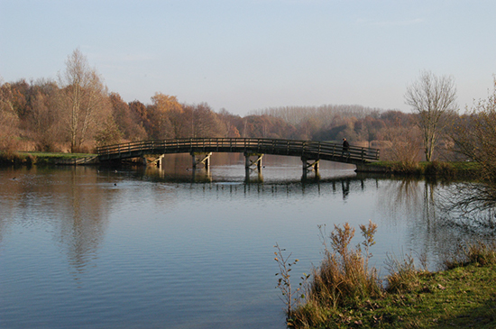 %_tempFileName2004-12-02-004%