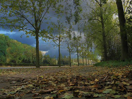 %_tempFileName2006-11-10_015NKSeV%