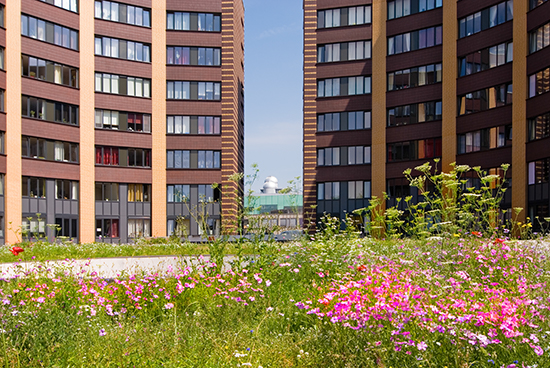 %_tempFileName2007-06-01%20012ARD%