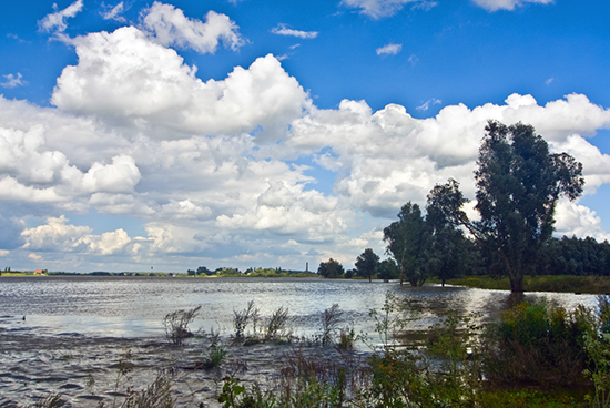 %_tempFileName2007-08-16%20068ARUhVSeKAc%