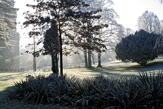 %_tempFileName2007-12-22_19UHSeKS%