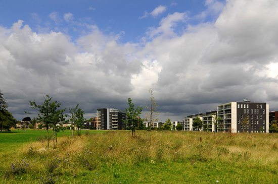 %_tempFileName2008-07-20-40UpNKSSeK%