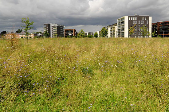 %_tempFileName2008-07-20-42UpNKSeKS%