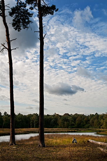 %_tempFileName2009-10-04-45RLViTNo%