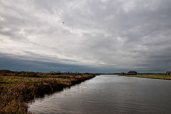 %_tempFileName2009-11-29-13RLTNo%