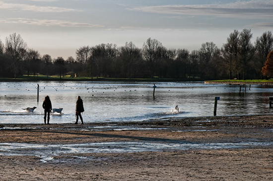 %_tempFileName2009-12-01-191RLTNo%