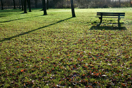 %_tempFileName2009-12-01-223R%