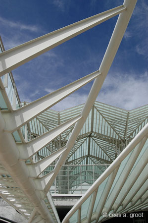 2006-05-17 027Se2NKS